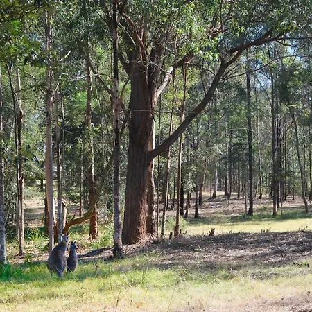 Six Oaks Cottage Mulgoa Exterior photo